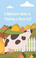 Beginners Guide to Training a Show Calf