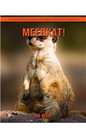 Meerkat! An Educational Children's Book about Meerkat with Fun Facts