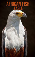 African Fish Eagle