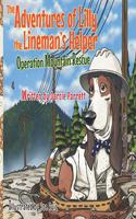 Adventures of Lilly the Lineman's Helper