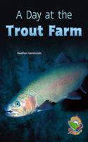 Day at the Trout Farm