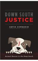 Down South Justice
