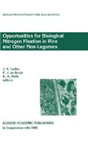 Opportunities for Biological Nitrogen Fixation in Rice and Other Non-Legumes