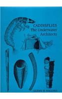 Caddisflies