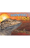 Survival at 120 Above