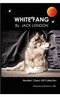 White Fang