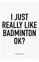 I Just Really Like Badminton Ok?