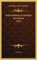 Sedimentbildung Am Heutigen Meeresboden (1901)