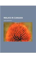 Walks in Canaan