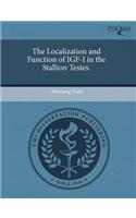The Localization and Function of Igf-I in the Stallion Testes