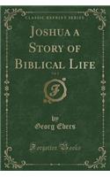 Joshua a Story of Biblical Life, Vol. 1 (Classic Reprint)
