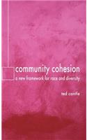 Community Cohesion: A New Framework for Race and Diversity