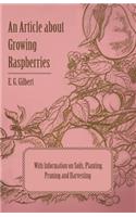 Article about Growing Raspberries with Information on Soils, Planting, Pruning and Harvesting