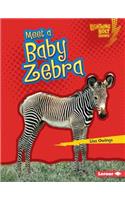 Meet a Baby Zebra: (Lightning Bolt Books)