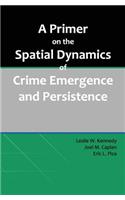 Primer on the Spatial Dynamics of Crime Emergence and Persistence