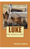 Luke - The Miracle Dog