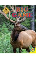 Big Game