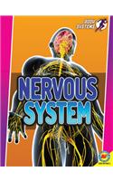 Nervous System