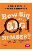 How Big is a Big Number?: Learning to teach mathematics in the primary school