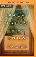 Palm Trees in the Snow