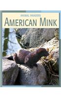 American Mink