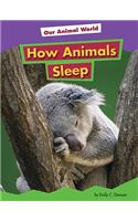 How Animals Sleep