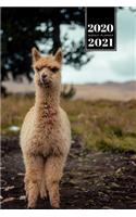 Llama Alpaca Vicuna Guanaco Week Planner Weekly Organizer Calendar 2020 / 2021 - Very Fluffy