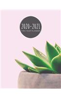 2020-2021 Two Year Planner: Pink Succulent Planner January 1, 2020 to December 31, 2021 Weekly & Monthly Planner + Calendar Views Small Plant 2 Year Calendar 24 Month Agenda Pl