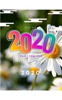 Day Planner Daily Calendar 2020 With 380 Pages