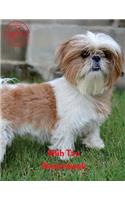 Shih Tzu Sketchbook