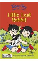 Topsy and Tim: Little Lost Rabbit