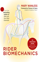 Rider Biomechanics