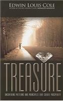 Treasure: Uncovering Patterns and Principles That Create Prosperity