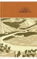 McSweeney's Issue 15 (McSweeney's Quarterly Concern): 15