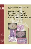 Tumors of the Prostate Gland, Seminal Vesicles, Penis, and Scrotum