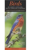 Birds of North Carolina, South Carolina & Georgia