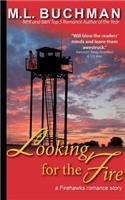 Looking for the Fire: (1 Firehawks Lookouts)