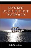 Knocked Down, But Not Destroyed