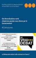 #GILETS JAUNES Revendications 100% citoyennes passées sous silence par le Gouvernement