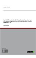 Betriebliche Fehlzeiten: Struktur, Ursache, Auswirkungen Und Reduzierungsmoglichkeiten Am Beispiel Einer Fiktiven Gmbh & Co. Kg