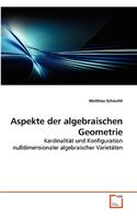 Aspekte der algebraischen Geometrie