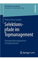 Selektionspfade Im Topmanagement: Homogenisierungsprozesse in Organisationen