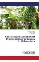 Constraints In Adoption Of Drip Irrigation For Banana In Maharashtra