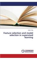 Feature selection and model selection in supervised learning