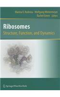 Ribosomes Structure, Function, and Dynamics