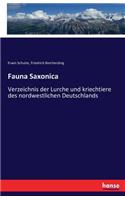 Fauna Saxonica
