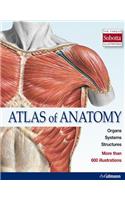 Atlas of Anatomy