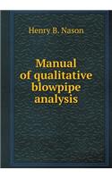 Manual of Qualitative Blowpipe Analysis