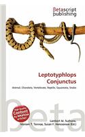 Leptotyphlops Conjunctus: (English)