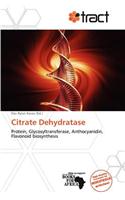 Citrate Dehydratase
